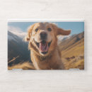 Search for dog laptop skins Golden retriever