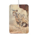 Search for photo interior car accessories Photograph