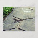 Search for texas postcards Austin