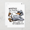 Search for funny duck Cute