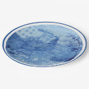 Search for painting paper plates Blue and white