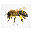 Search for vintage bee art Wildflowers