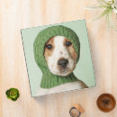 Search for puppy binders Cute