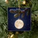 Search for full moon ornaments Winter