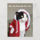 Search for parody christmas cards humor