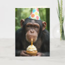 Search for funny monkey cards Wildlife