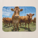 Search for cow blankets Grass