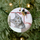 Search for tabby cat ornaments Kitty