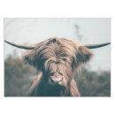 Search for cattle tablecloths Highland cow
