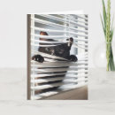 Search for black cat birthday cards Kitty