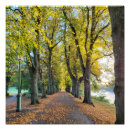 Search for fall scene posters Autumn colors