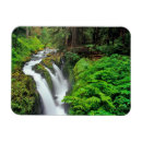 Search for olympic national park magnets Green