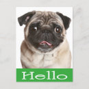 Search for hello postcards Thinking of you