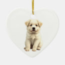 Search for great pyrenees ornaments Puppy