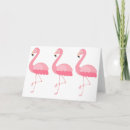 Search for flamingo birds cards summer