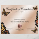 Search for coaches awards Certificate