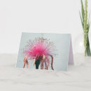 Search for flamingo cards Flower
