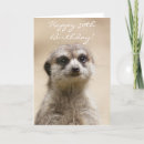 Search for funny cat 50th birthday cards Animal