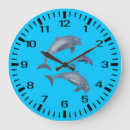 Search for dolphin clocks Mammal