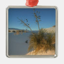 Search for new mexico ornaments Desert