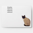 Search for cat envelopes Pet