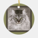 Search for maine coon cat ornaments Drawing
