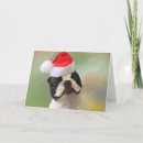 Search for newfoundland christmas cards Animal