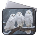 Search for snowy owl gifts Wildlife