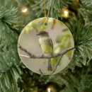 Search for wildlife ornaments Birds
