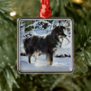 Search for australian shepherd ornaments Aussie