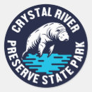 Search for crystal stickers Nature