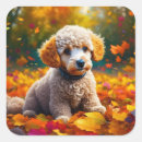 Search for apricot stickers puppy
