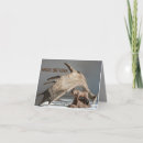 Search for moose birthday cards Wildlife