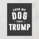 Search for political cartoons postcards Humor