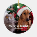 Search for pet ornaments Cute