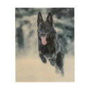 Search for german shepherd dog photo art dogs