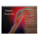 Search for skeleton calendars Anatomy
