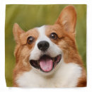 Search for photo dog bandanas Dogs