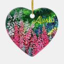 Search for alaska ornaments Mountain