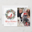 Search for cardinal photo christmas cards Watercolor