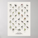 Search for bird posters Wildlife