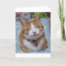 Search for cat thank you cards Thanks