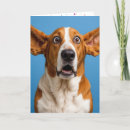 Search for basset hound birthday cards Ears
