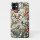 Search for hummingbird iphone cases Ernst haeckel