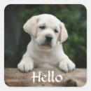 Search for yellow lab stickers Pups