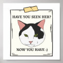Search for missing cat posters Have you seen
