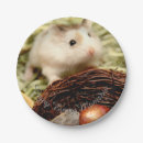Search for hamster plates Cute