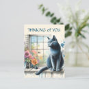 Search for blue cat postcards Cute