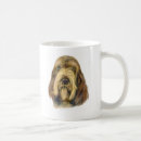 Search for spinone italiano Spinoni