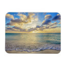 Search for aruba magnets Coast